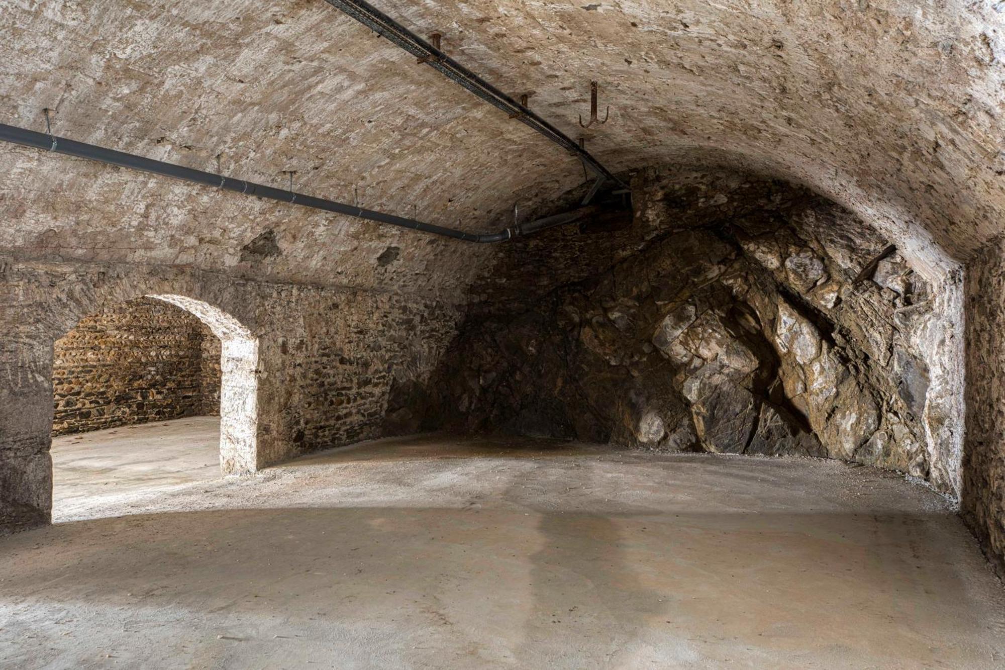 Privee Dans Chateau & Domaine, 15min De Lyon *