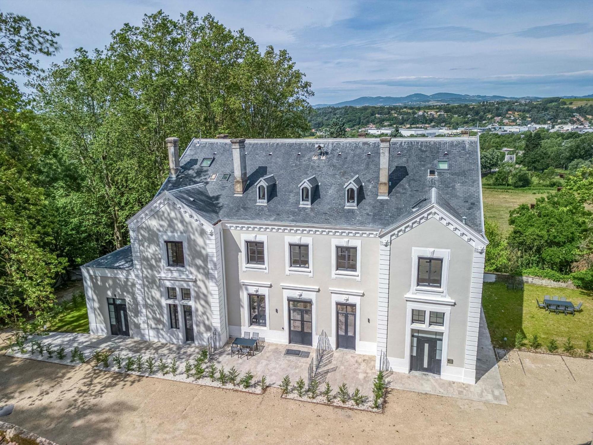 Privee Dans Chateau & Domaine, 15min De Lyon Apartment